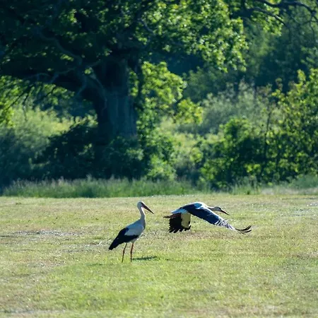 Appartement Asheimar