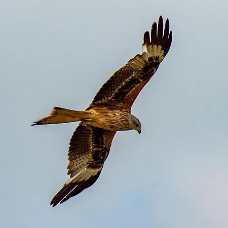 Апартаменты Asheimar Passee