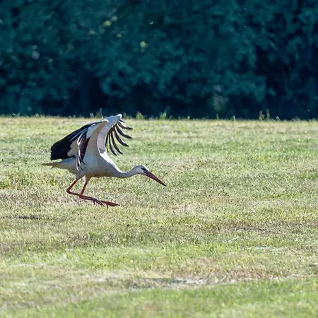 Appartement Asheimar Passee