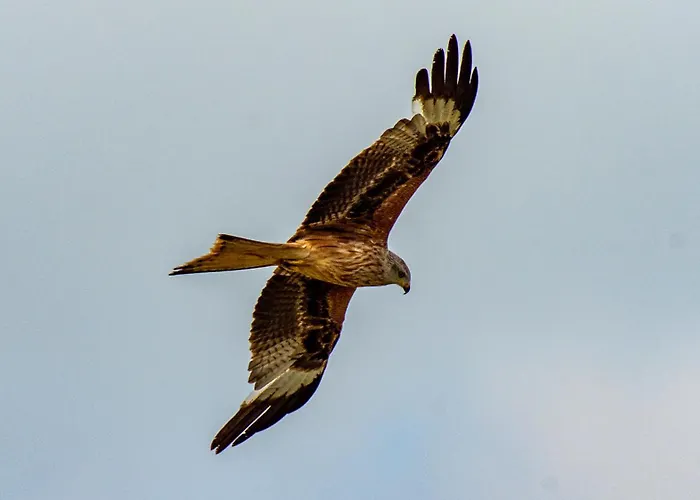 Апартаменты Asheimar Passee